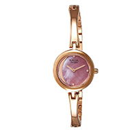 TITAN Quartz Raga  â€“ Ladies 