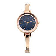 TITAN Raga Blue Dial Metal Strap Watch - Ladies
