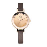Titan Raga Viva Analog Rose Gold Dial Watch â€“ Ladies