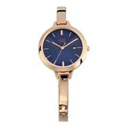 TITAN Raga Blue Dial Metal Strap Watch - Ladies