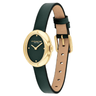 Coach Sammy Gold Case Ladies Watch