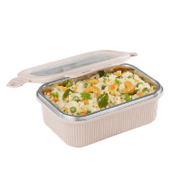 Borosil Larah Freshbyte Rectangular Lunch Box 400ML