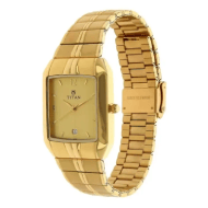 Titan Analog with Date Golden Dial Metal Strap watch for Men