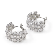 ALDO Riene Earrings