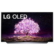 LG 65 Inch OLED TV