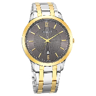 TITAN Dark Brown Dial Metal Strap Watch