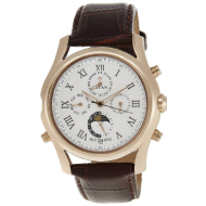 TITAN Automatic Analog White Dial - Gents