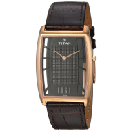 TITAN Edge Quartz Stainless Steel and Leather -Gents