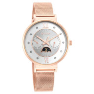 TITAN Slimline Silver Dial Rose Gold Stainless Steel Strap - Ladies
