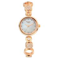 TITAN Raga Mother of Pearl Dial Swarovski Studded - Ladies