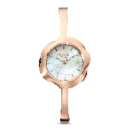 TITAN  Analog Multi-Colour Dial  - Ladies