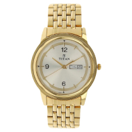 TITAN Silver Dial Golden Stainless Steel Strap - Gents