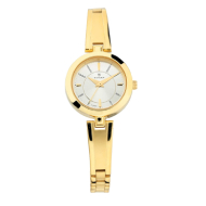 TITAN  Silver Dial Metal Strap - Ladies