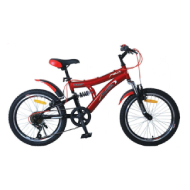 DSI 20" Dual / SUS / 6-SP TMO Mountain Bike (Black / Red)