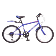 DSI 20" 6-SP TMO Mountain Bike