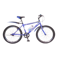 DSI 24" 1-SP TMO Mountain Bike (Blue)