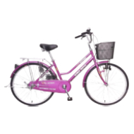 DSI 24" Lady TMO Bike (Red)