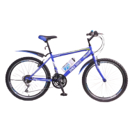 DSI 24" 21-SP TMO Mountain Bike (Blue)