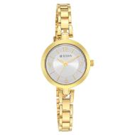 Titan Metal Strap Watch (Silver Dial)