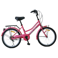 DSI 20" Lady Economate Series Bike (TMO)