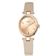TITAN Quartz  Raga - Ladies