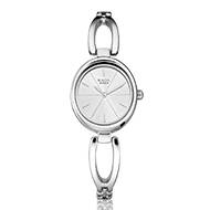 TITAN Quartz  Raga - Ladies