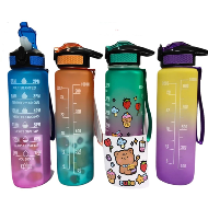 Steel Housewares Motivational Water Bottle 1000ML (Random)