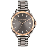 Coach Women's Ionic Plated Stainless Steel Watch (Grey)
