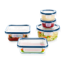 Pyrex 10 Piece Freshlock  Airtight Glass Food Storage Container