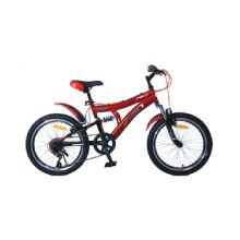 DSI 20" Dual / SUS / 6-SP TMO Mountain Bike (Black / Red)