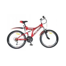 DSI 24" Dual SUS 21-SP Mountain Bike (Black / Red)