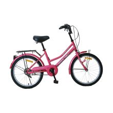 DSI 20" Lady Economate Series Bike (TMO)