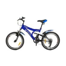 DSI 20" Dual 6SP Bike (TMO)